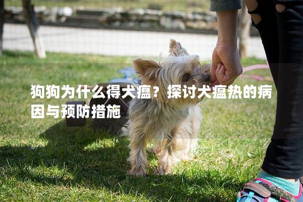 狗狗为什么得犬瘟？探讨犬瘟热的病因与预防措施