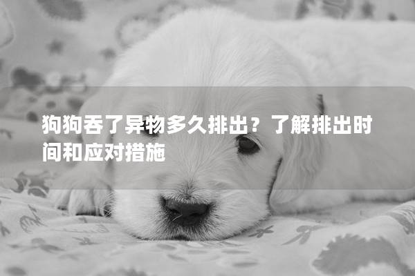 狗狗吞了异物多久排出？了解排出时间和应对措施