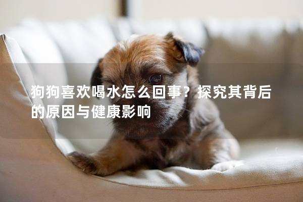 狗狗喜欢喝水怎么回事？探究其背后的原因与健康影响