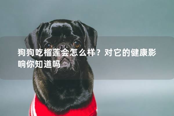 狗狗吃榴莲会怎么样？对它的健康影响你知道吗