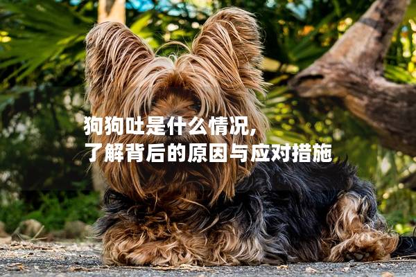 狗狗吐是什么情况, 了解背后的原因与应对措施