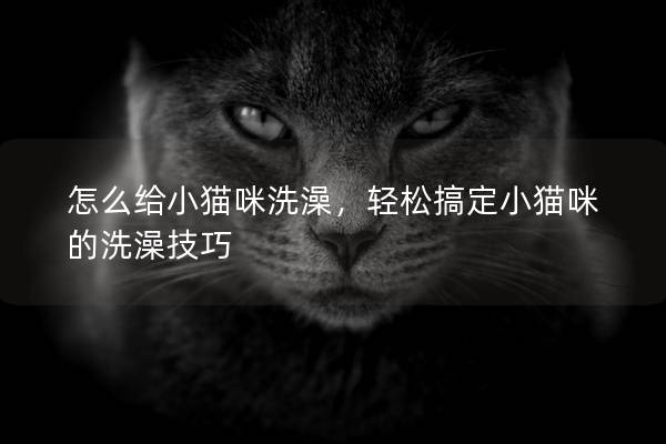 怎么给小猫咪洗澡，轻松搞定小猫咪的洗澡技巧