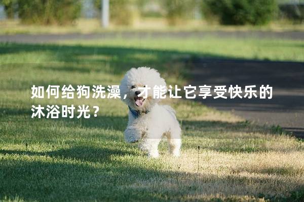 如何给狗洗澡，才能让它享受快乐的沐浴时光？