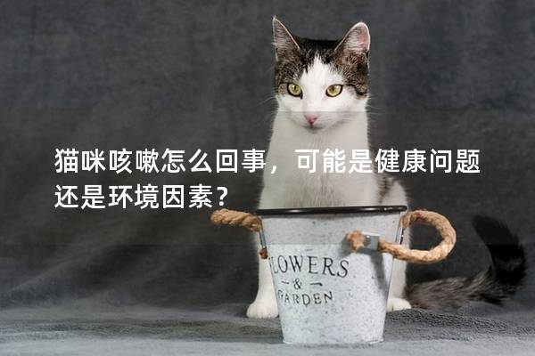 猫咪咳嗽怎么回事，可能是健康问题还是环境因素？