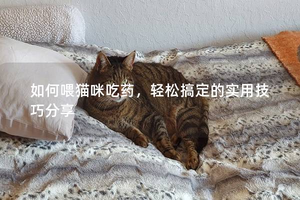 如何喂猫咪吃药，轻松搞定的实用技巧分享