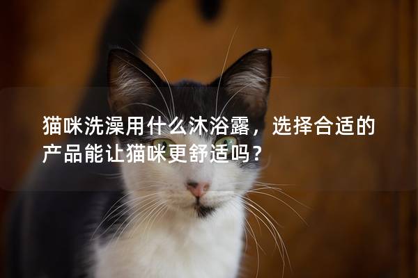 猫咪洗澡用什么沐浴露，选择合适的产品能让猫咪更舒适吗？