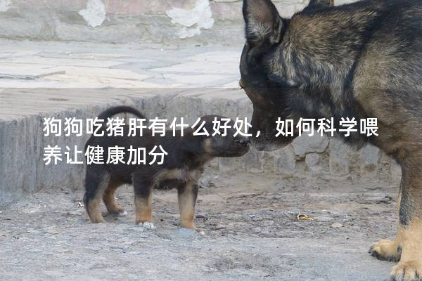 狗狗吃猪肝有什么好处，如何科学喂养让健康加分