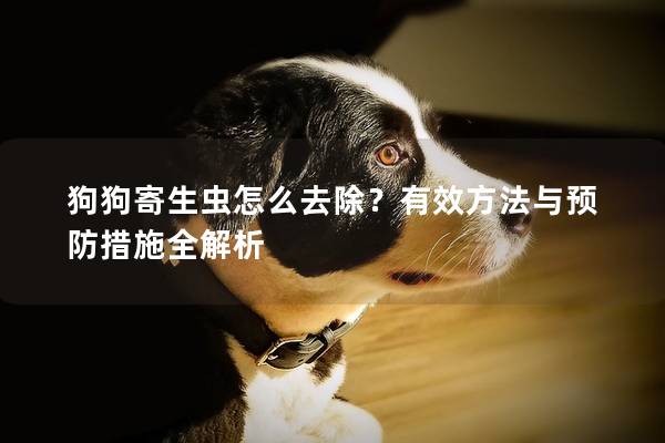 狗狗寄生虫怎么去除？有效方法与预防措施全解析