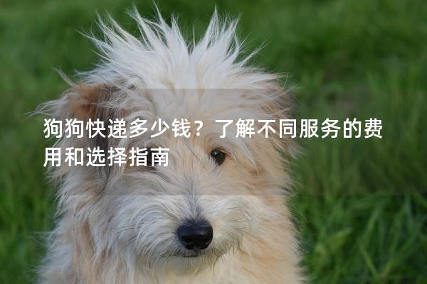 狗狗快递多少钱？了解不同服务的费用和选择指南