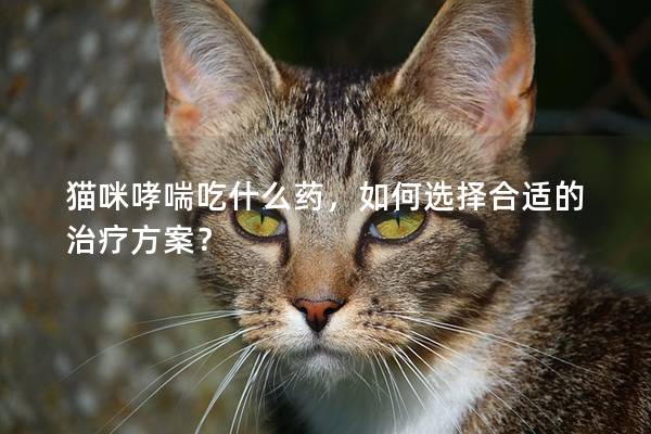 猫咪哮喘吃什么药，如何选择合适的治疗方案？