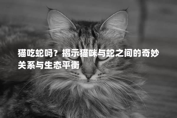 猫吃蛇吗？揭示猫咪与蛇之间的奇妙关系与生态平衡