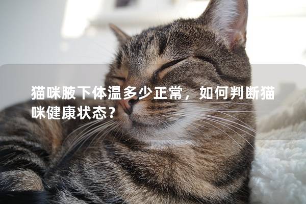 猫咪腋下体温多少正常，如何判断猫咪健康状态？