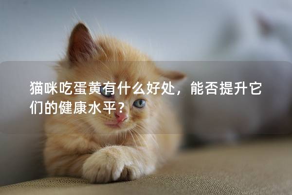 猫咪吃蛋黄有什么好处，能否提升它们的健康水平？