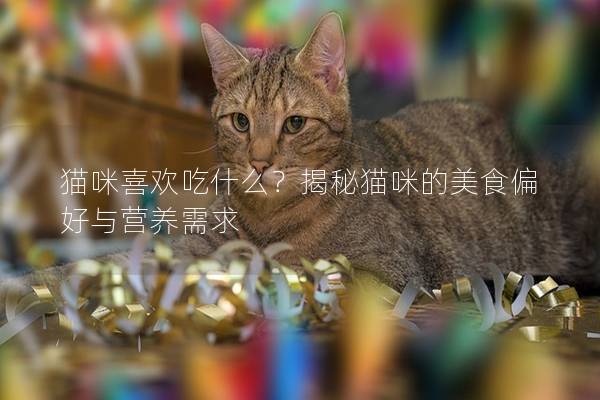 猫咪喜欢吃什么？揭秘猫咪的美食偏好与营养需求