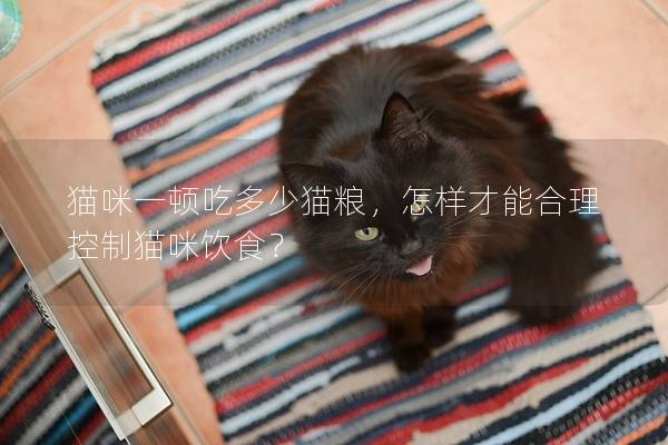 猫咪一顿吃多少猫粮，怎样才能合理控制猫咪饮食？