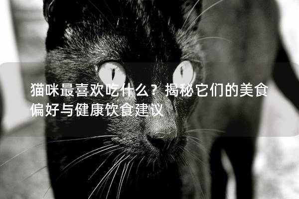 猫咪最喜欢吃什么？揭秘它们的美食偏好与健康饮食建议