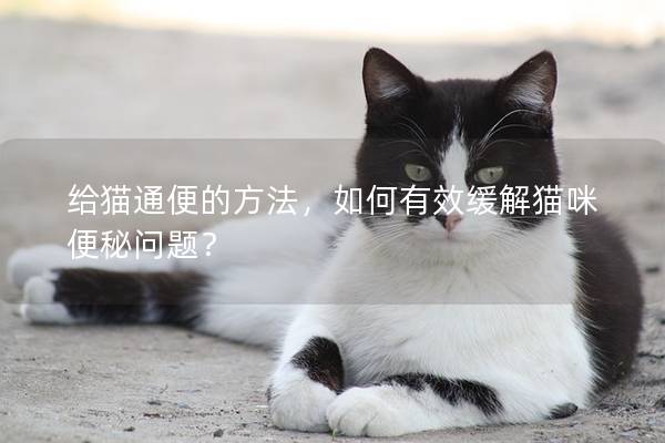 给猫通便的方法，如何有效缓解猫咪便秘问题？