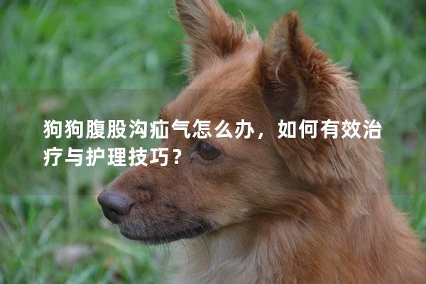 狗狗腹股沟疝气怎么办，如何有效治疗与护理技巧？