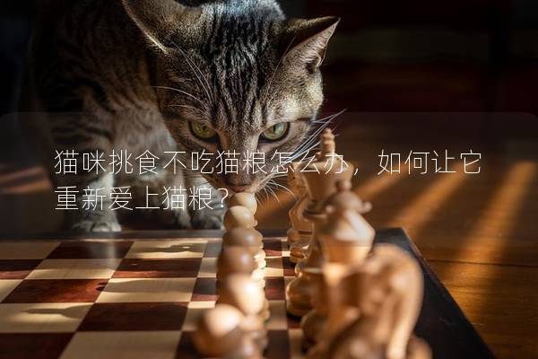 猫咪挑食不吃猫粮怎么办，如何让它重新爱上猫粮？