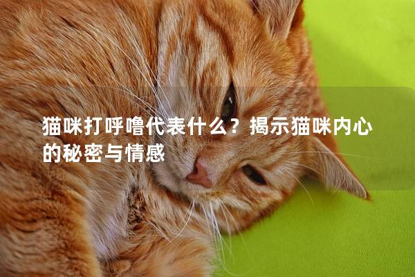 猫咪打呼噜代表什么？揭示猫咪内心的秘密与情感