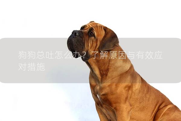 狗狗总吐怎么办？了解原因与有效应对措施