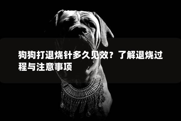 狗狗打退烧针多久见效？了解退烧过程与注意事项