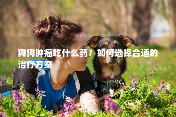 狗狗肿瘤吃什么药？如何选择合适的治疗方案