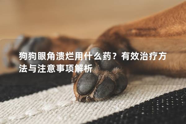 狗狗眼角溃烂用什么药？有效治疗方法与注意事项解析