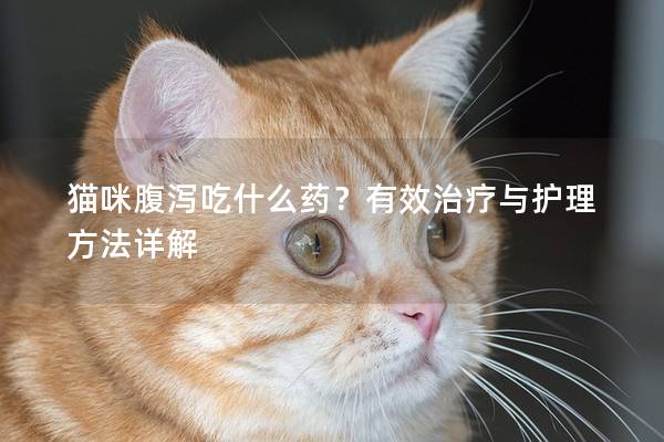 猫咪腹泻吃什么药？有效治疗与护理方法详解