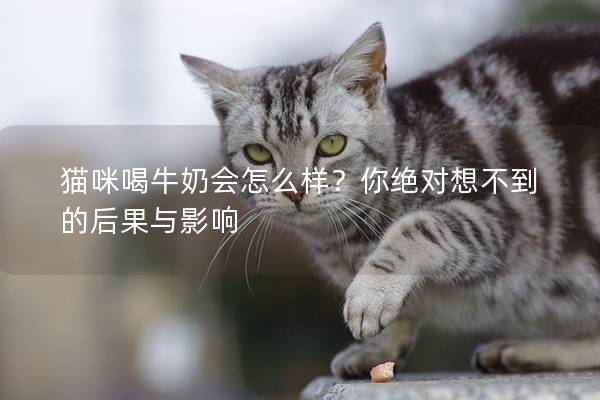 猫咪喝牛奶会怎么样？你绝对想不到的后果与影响