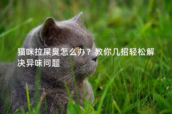 猫咪拉屎臭怎么办？教你几招轻松解决异味问题