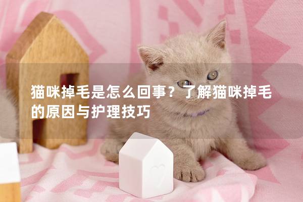 猫咪掉毛是怎么回事？了解猫咪掉毛的原因与护理技巧