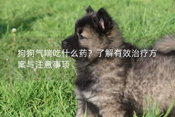 狗狗气喘吃什么药？了解有效治疗方案与注意事项