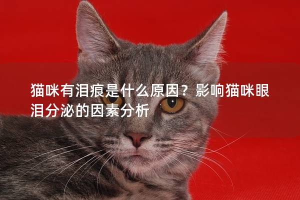 猫咪有泪痕是什么原因？影响猫咪眼泪分泌的因素分析