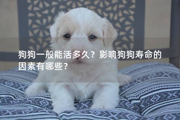 狗狗一般能活多久？影响狗狗寿命的因素有哪些？