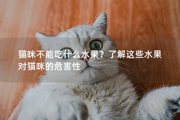 猫咪不能吃什么水果？了解这些水果对猫咪的危害性