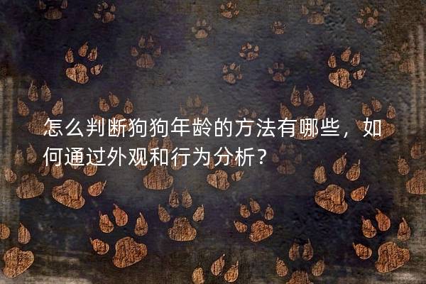 怎么判断狗狗年龄的方法有哪些，如何通过外观和行为分析？