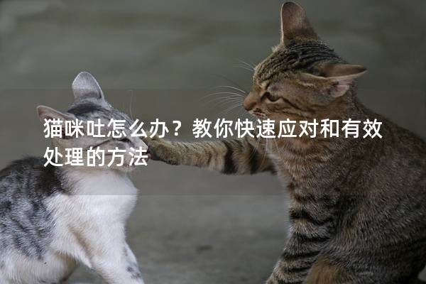 猫咪吐怎么办？教你快速应对和有效处理的方法