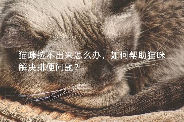 猫咪拉不出来怎么办，如何帮助猫咪解决排便问题？