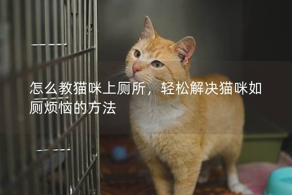 怎么教猫咪上厕所，轻松解决猫咪如厕烦恼的方法