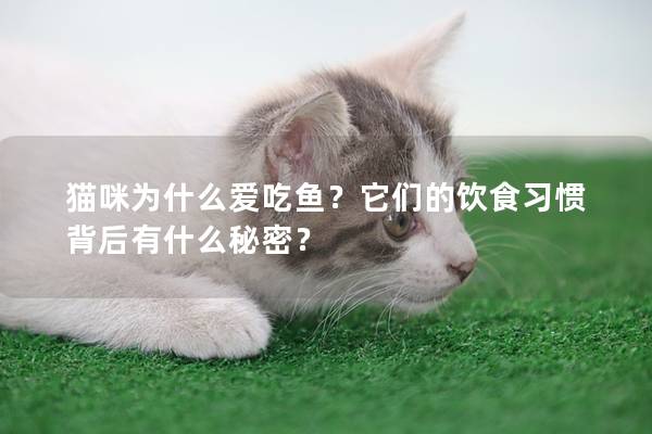 猫咪为什么爱吃鱼？它们的饮食习惯背后有什么秘密？