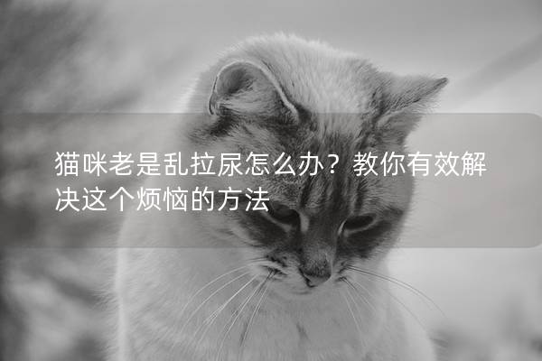 猫咪老是乱拉尿怎么办？教你有效解决这个烦恼的方法