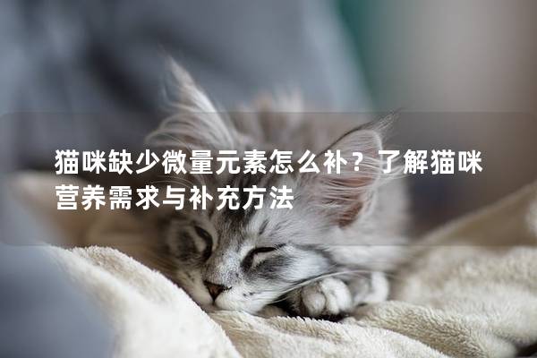 猫咪缺少微量元素怎么补？了解猫咪营养需求与补充方法