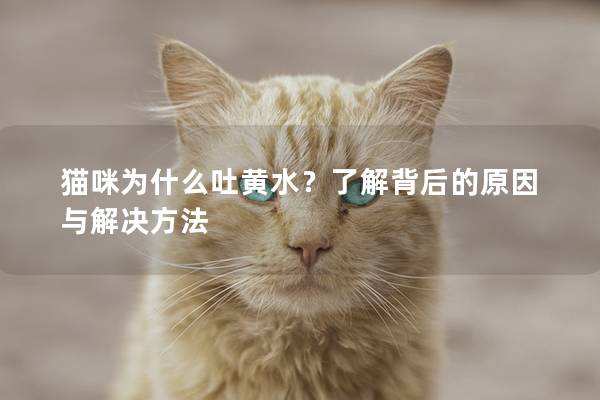 猫咪为什么吐黄水？了解背后的原因与解决方法