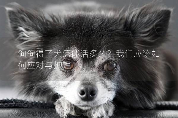 狗狗得了犬瘟能活多久？我们应该如何应对与护理