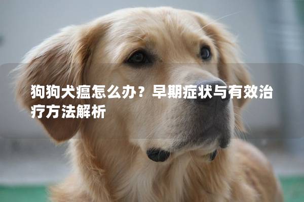 狗狗犬瘟怎么办？早期症状与有效治疗方法解析