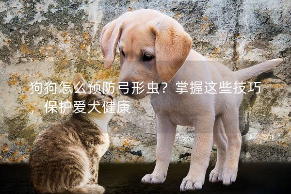 狗狗怎么预防弓形虫？掌握这些技巧，保护爱犬健康