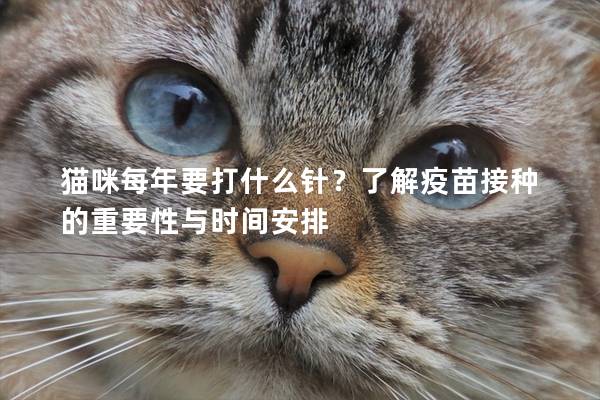 猫咪每年要打什么针？了解疫苗接种的重要性与时间安排