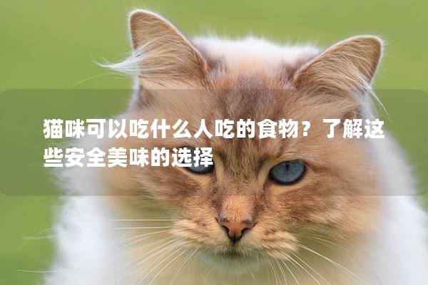 猫咪可以吃什么人吃的食物？了解这些安全美味的选择