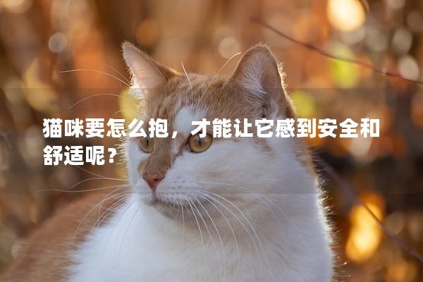 猫咪要怎么抱，才能让它感到安全和舒适呢？